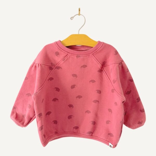 Rise little earthling | 2-3 ans