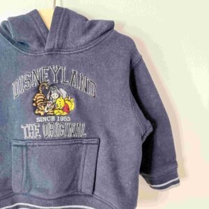 Alternative view of Disney | 12 mois